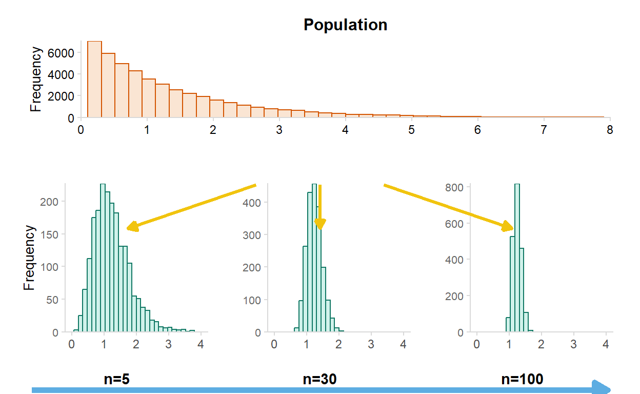 Foram retiradas amostras pequenas (n = 5), médias (n = 30) e grandes (n = 100) de uma distribuição populacional exponencial e calculadas a média de cada amostra. Perceba que a distribuição amostral das médias (mesmo que a distribuição amostral original não seja normal) vai aproximando-se de uma distribuição normal. Perceba também que quanto maior a amostra menor o desvio padrão dessa distribuição amostral (vamos chamar depois isso de menor erro amostral :D)